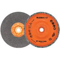 Blendex U™ Finishing Cup Disc, 5" Dia., Fine Grit, Silicon Carbide VV859 | Nassau Supply