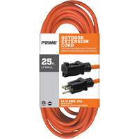 Cordon rallonge en vinyle, Ext&eacute;rieur, SJTW, AWG 14/3, 15 A, 25' Nassau Supply