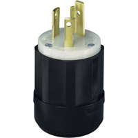 Dispositif verrouillable de qualit&eacute; industrielle, Nylon, 30 A, 250 V, L6-30P Nassau Supply