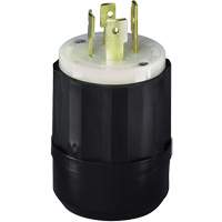 3-Pole 4-Wire Grounding Locking Plug, Nylon, 20 Amps, 250 V, L15-20P XA893 | Nassau Supply