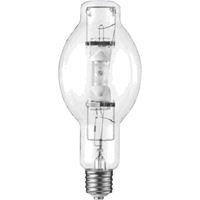 Ampoules de rechange XC454 | Nassau Supply