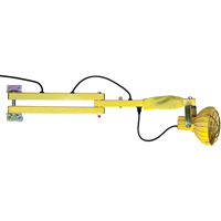 Lampes avec bras flexible pour quais, Ampoule Incandescente, Bras 40" XC455 | Nassau Supply