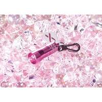 Lampes de poche Nano Light Nassau Supply
