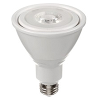 Ampoule DEL, PAR30, 10 W, 800 lumens, base Moyen Nassau Supply