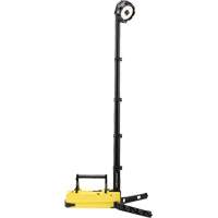 Lampes de sc&egrave;ne portables et rechargeables, DEL, 36 W, 5300 lumens, Boîtier en Plastique Nassau Supply