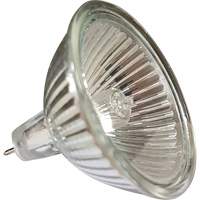 Ampoule de rechange MR16 XI504 | Nassau Supply