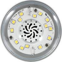 Lampe haute luminosité Ultra LED<sup>MC</sup>, DHI, 27 W, 5000 lumens, base Moyen XI555 | Nassau Supply