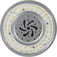 Lampe haute luminosité Ultra LED<sup>MC</sup>, DHI, 80 W, 10800 lumens, base Mogul XI562 | Nassau Supply
