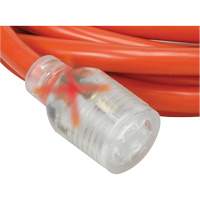 Generator Extension Cord with Quad Tap, 10 AWG, 30 A, 4 Outlet(s), 25' XI765 | Nassau Supply