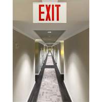 Exit Sign, LED, Battery Operated/Hardwired, 12-1/5" L x 7-1/2" W, English XI788 | Nassau Supply