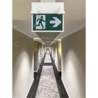 Running Man Sign with Security Lights, LED, Battery Operated/Hardwired, 12-1/10" L x 11" W, Pictogram XI790 | Nassau Supply