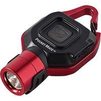 Lampe de poche USB Pocket Mate Nassau Supply