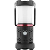 Lanterne de zone d'urgence EAL13 Nassau Supply