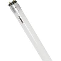 SubstiTUBE<sup>®</sup> Frosted Glass LED Bulb, 12 W, T8, 5000 K, 48" L XJ097 | Nassau Supply