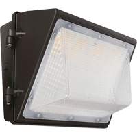 Ensemble mural sans interruption, DEL, 120 - 277 V, 75 - 110 W, 9,33" ha x 6,65" la x 14,5" p Nassau Supply