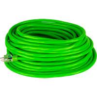 Industrial Extension Cord, All-Weather, SJTW, 10/3 AWG, 15 A, 50' Nassau Supply