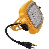 T&ecirc;te de projecteur de quai de 50 W et 7000 lumens Nassau Supply