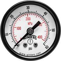 Economy Pressure Gauge, 1-1/2" , 0 - 60 psi, Back Mount, Analogue Nassau Supply